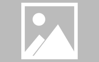 武威河池网站建设升级项目（广西河池网河池政府网）